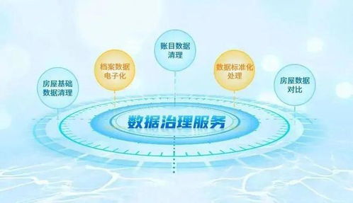 強基固本，鵬業數據治理服務獲客戶表彰